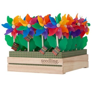 SEEDLING - WINDM&Uuml;HLEN IM DISPLAY (20 Stk.)