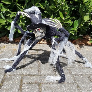 DEKORATION MIT MEGA SPIDER TOTEN leuchtenden Augen (2st.)