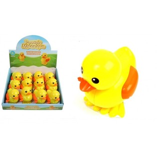 BIG gekr&ouml;pften DUCKS IN DISPLAY (12st).